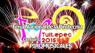 Concurso de Piromusicales FNP Tultepec 2015 [upl. by Nnyliak]