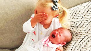 Legendary Moments When Kids Meet Newborn Babies  Funny Baby Siblings [upl. by Larue718]