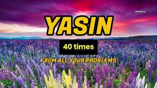 Surah Yaseen 40 times سورة ياسين 40 مرة ، من كل مشاكلك ، قراءة جميلة للقرآن [upl. by Elam]