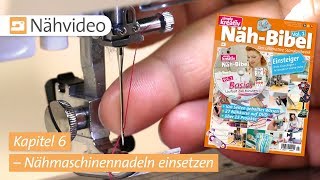 Nähvideo Nähmaschinennadel einsetzen – Kapitel 6 NähBibel Vol 1 [upl. by Nallij]