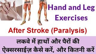 Hand and Leg Exercise for Paralysis Stroke Patients लकवे में हाथ और पैर की ऐक्सरसाईज़ कैसे करें [upl. by Moreta]