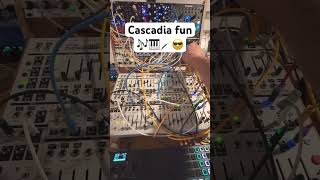 intellijel cascadia sequenced by metropolix into sealegs ampQuBitElectronix mohave [upl. by Ilesara733]