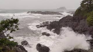 Watching Stormy Waves roll into Secret Cove at Wickaninnish Inn [upl. by Geraint]