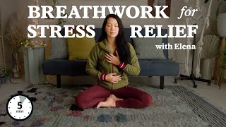 Breathwork Techniques to RELEASE DMT 3 Rounds [upl. by Magner]