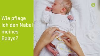 Tipps zur Nabelpflege 👶 Babys erste Tage ElternGuide der Privatklinik Goldenes Kreuz [upl. by Karlotte]