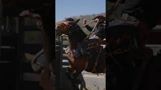 58 Years old Saddle Bronc Cowboy George Veater [upl. by Nilreb]