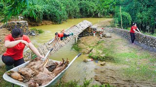 Heavy Floods Destroy Farm And The Newly Built Bridge  Villagers Came To Help Restore The Farm [upl. by Emeline273]