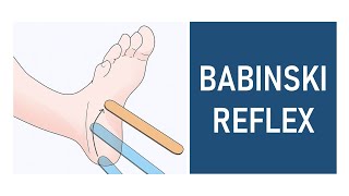 Babinski Reflex Plantar Reflex [upl. by Suryt705]