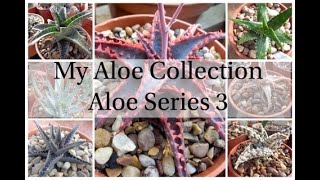 My Aloe Collection 3 Aloe Series [upl. by Bertelli]