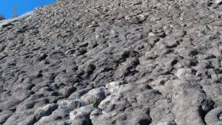 Vidéo dalle ammonites fossiles  Réserve géologique DignelesBains04 [upl. by Esertal997]