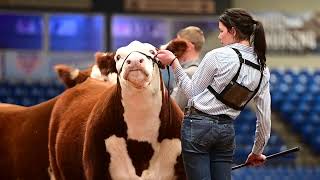 Sandhills Stock Show 2024 Highlight [upl. by Ronnholm]