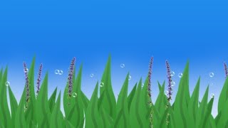 AQUARIUM GAME SATISFYING LIVE EP1 [upl. by Rihana]