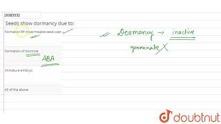 Seeds show dormancy due to [upl. by Afatsom498]