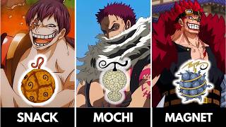 All Paramecia Devil Fruit Powers One Piece [upl. by Reteip]