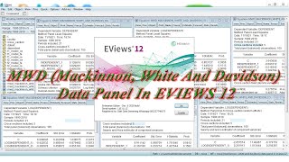 MWD Mackinnon White And Davidson Data Panel In EVIEWS 12 [upl. by Kellyn]