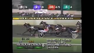 1999 Meadowlands EXTREME VELOCITY John Campbell Mares Open 40000 [upl. by Grantley55]