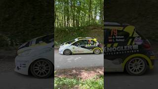 Wrc Hrvatska [upl. by Sitnerp]