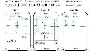 Urea synthesis Physicalchemical models Useful for learning [upl. by Sualk]