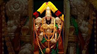 thirumala thirupati srinivas in  சிலையின் மர்மமான ஆச்சரியம் [upl. by Yetnom529]