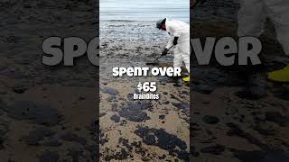 The BP Deepwater Horizon Oil Spill Unveiling the Environmental Catastrophe [upl. by Nallaf]