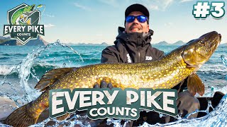 BIG FISH Päivä  Every Pike Counts 2024 with Kurre  Episode 3 [upl. by Ysdnyl]