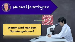 Muskelfasertypen [upl. by Goddart97]