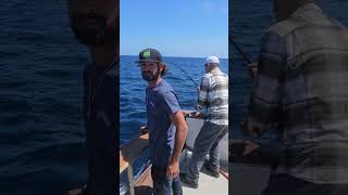 San Clemente Giant Marlin Eats Dorado  Getting Spooled [upl. by Lust69]