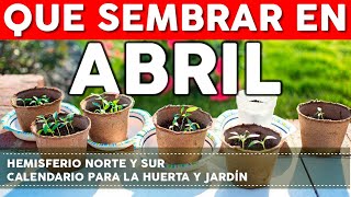 Calendario de Siembra 2022 Que sembrar en Abril en el Huerto de Primavera y de Otoño [upl. by Atinel369]