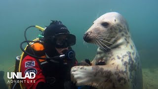 Swimming With Wild Seals For 20 Years 🦭 [upl. by Navonoj]