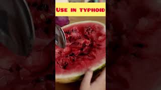 food for typhoid shorts [upl. by Timothy]