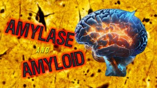 Amylase and Amyloid [upl. by Ailad]