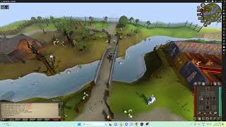 OSRS How To Kill The Lumbridge Cow Quick Guide [upl. by Uhile]