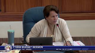 37th Guam Legislature FY2024 Budget Session  August 14 2023 PM [upl. by Aisanat30]