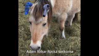 Adam tolkar Rocka sockorna  bildspel [upl. by Basile802]