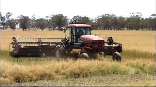 Canola Swathing 2013 [upl. by Kipton]