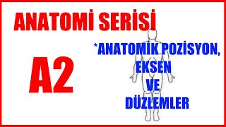 Anatomik Pozisyon  Eksenler ve Düzlemler A2 Anatomi 2020 [upl. by Yremogtnom49]