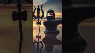 Om namah Shivaya shivalingam whatsappstatus devotional [upl. by Balthazar463]