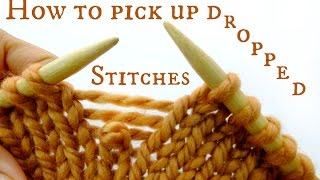 How to pick up a dropped stitch  Easy amp Quick Knitting Tutorial [upl. by Eleon]