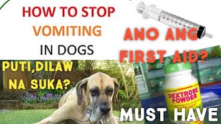 SYMPTOMS AND HOME REMEDY FOR VOMITING AND DOGS WITH PARVO [upl. by Vedette235]