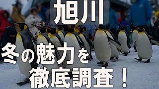 北海道・旭川ひとり旅。冬の極寒都市は魅力いっぱい！今、日本人が行くべき魅力を徹底調査してきました！旭山動物園ご当地グルメ北海道スキー市内観光 [upl. by Aicirtak967]