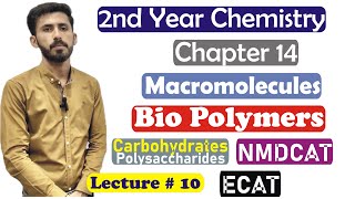 2nd Year Chemistry Chapter 14 Macromolecules Biopolymers Carbohydrates Polysaccharides Lec 10 [upl. by Yenmor]