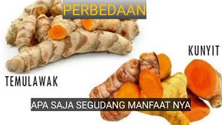 perbedaan kunyit dan temulawakcara bikin nya manfaat kunyit dan temulawak [upl. by Par]