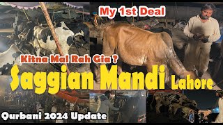 Sagiyan Mandi Lahore my 1st live deal  Lahore Cattel Market  Shahpur Kanjra  Bakra Mandi 2024 [upl. by Nigel66]