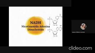 Seminario NADH y NADPH  Bioquímica UMNG [upl. by Anaizit376]