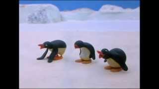 Pingu And His Friends Play Too Loudly  Pingu Official Channel [upl. by Gowrie528]