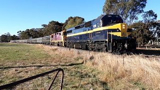 C501 Seymour Railway Heritage Centre [upl. by Aicnelev]