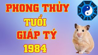 Phong Thủy Tuổi Giáp Tý 1984 [upl. by Rosette]