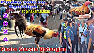 PinakaMALAKAS na BENTAHAN Ng MANOK sa Probinsya Ng BATANGAS padre Garcia batangas Feb 2024 [upl. by Arvie210]