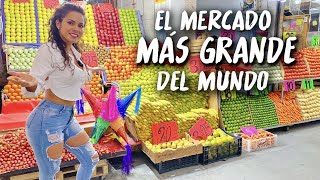 Así es EL MERCADO MÁS GRANDE DEL MUNDO Central de Abasto en la CDMX México I Brenda Catalán [upl. by Kall]