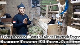 NYOROG KANDANG KE SUMBER TERNAK53 FARM CIANJUR SELATAN [upl. by Kenway557]